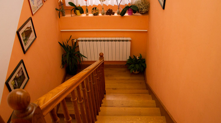 stepenista-IMG_9242-750x420.jpg